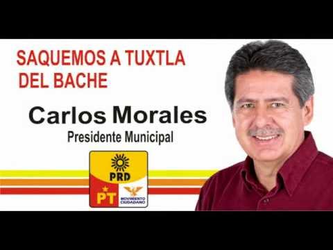 Carlos Morales Vázquez