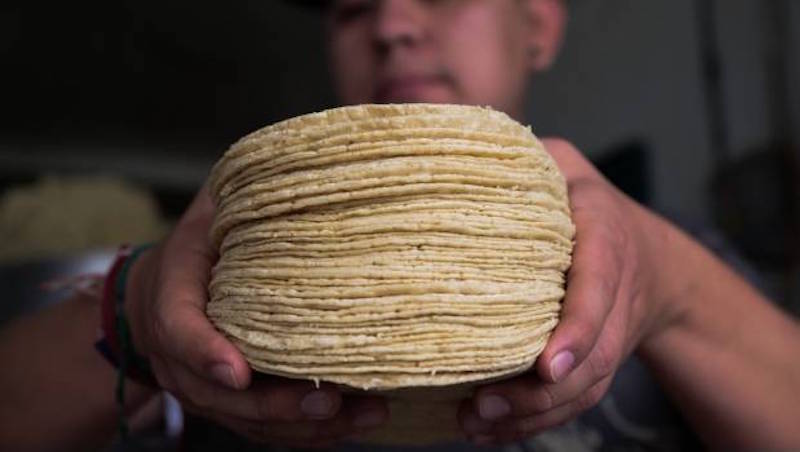 ¿A qué se debe realmente el aumento al precio de la tortilla? (En la Mira) Héctor Estrada