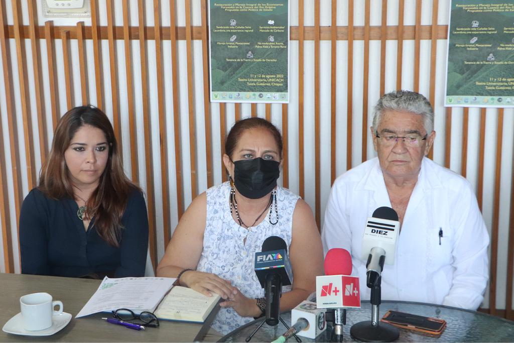 Académicos y productores buscan incidir en políticas forestales
