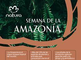 En la semana de la amazonia, Natura presenta su plataforma de compromiso y acción colectiva que lucha contra la deforestación de la selva tropical más grande del mundo