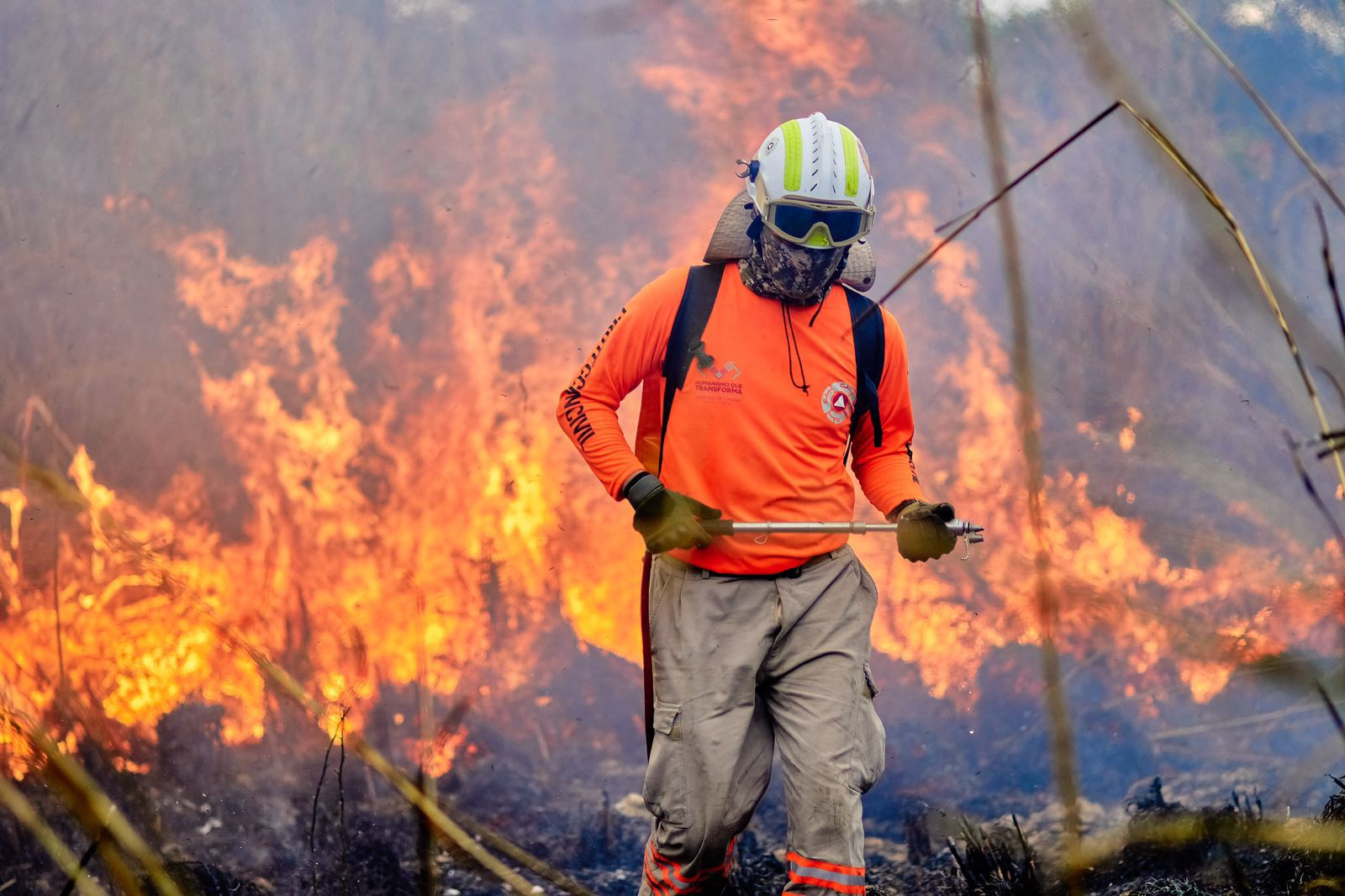 Registra Chiapas disminución de 96.19 % de incendios forestales, en comparación con 2024 