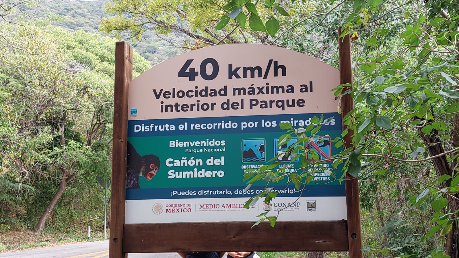 20 años de lucha por el Cañón del Sumidero 