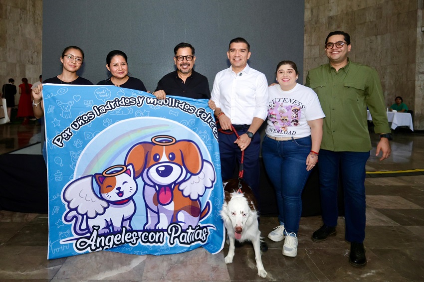 Congreso endurece sanciones para quienes cometan maltrato animal en Chiapas 