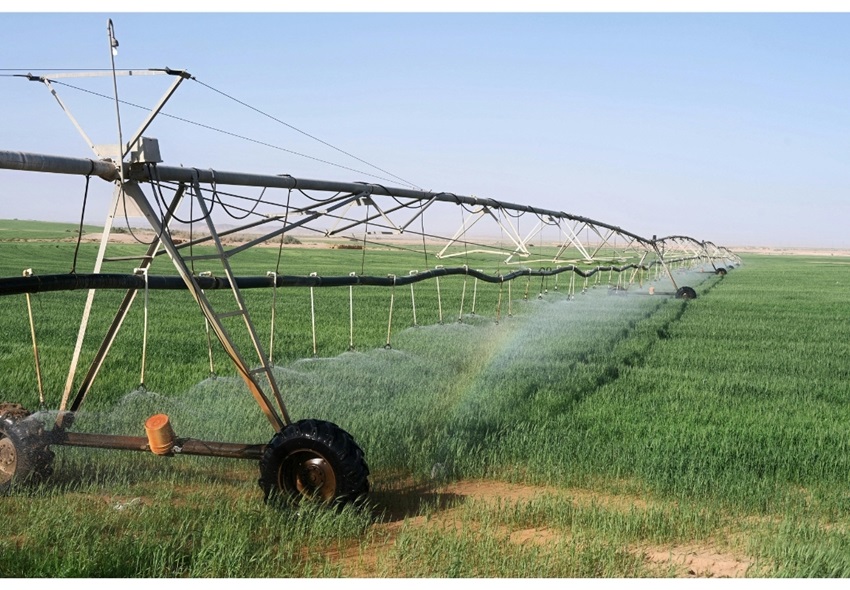 NECESARIO USO DE TECNOLOGÍA PARA ENFRENTAR FALTA DE AGUA EN LA PRODUCCIÓN DE ALIMENTOS 