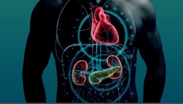 Síndrome cardiovascular-Rino-metabólico, enemistad silenciosa de los griegos 