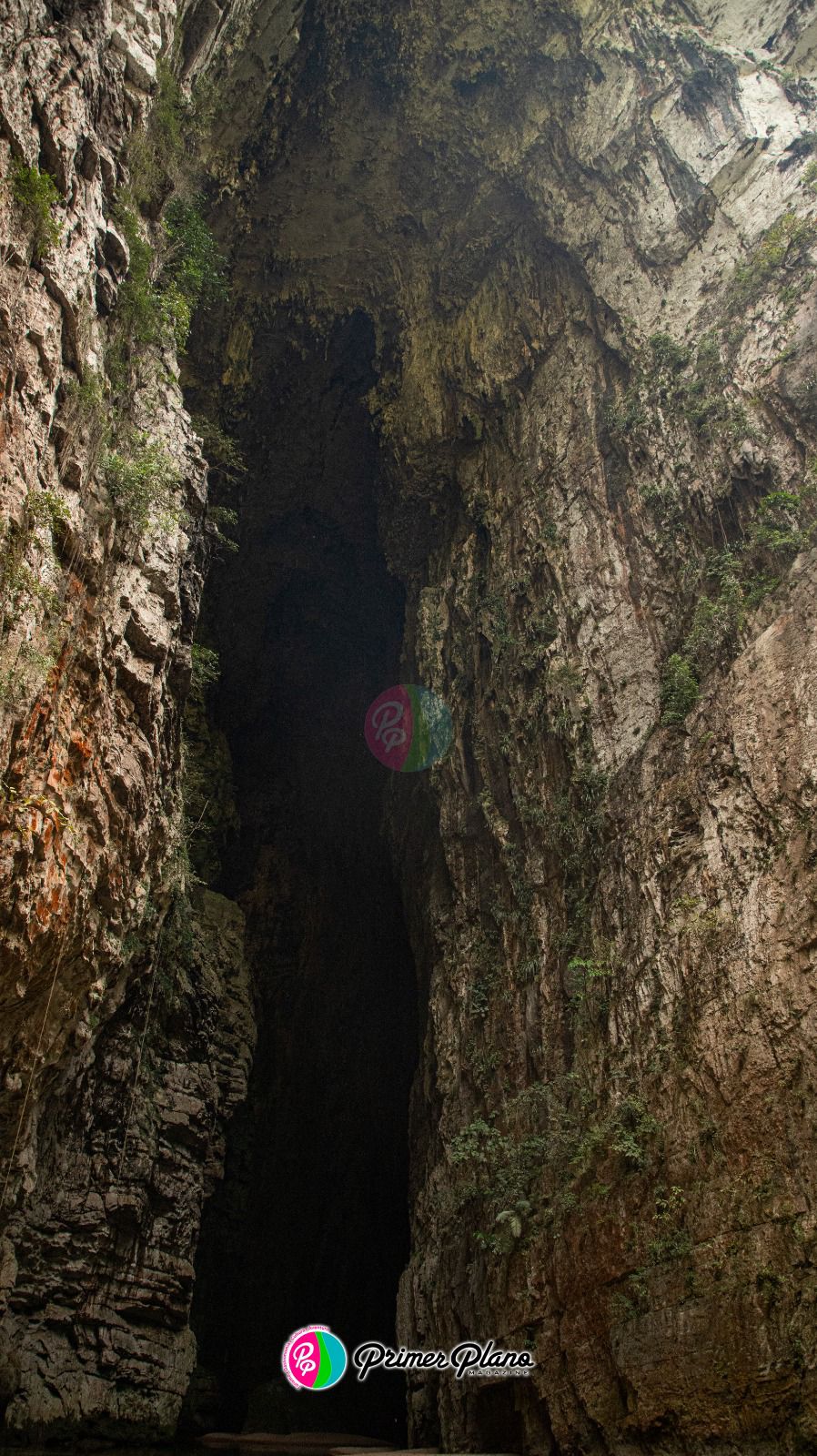 Arco del Tiempo: la catedral natural que resguarda el corazón salvaje de Chiapas