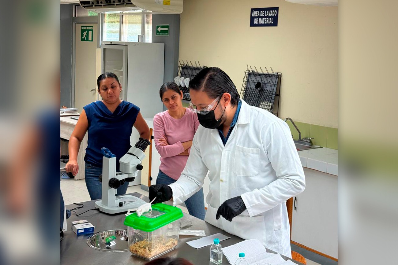 Chincuya y hongos: una alianza natural contra el estrés ambiental 