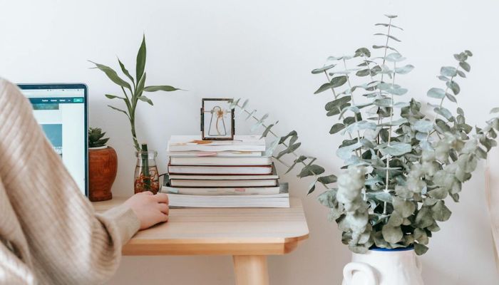 Primavera 2026: el sector de Hogar y Jardín florece con un crecimiento del 89% en ventas online