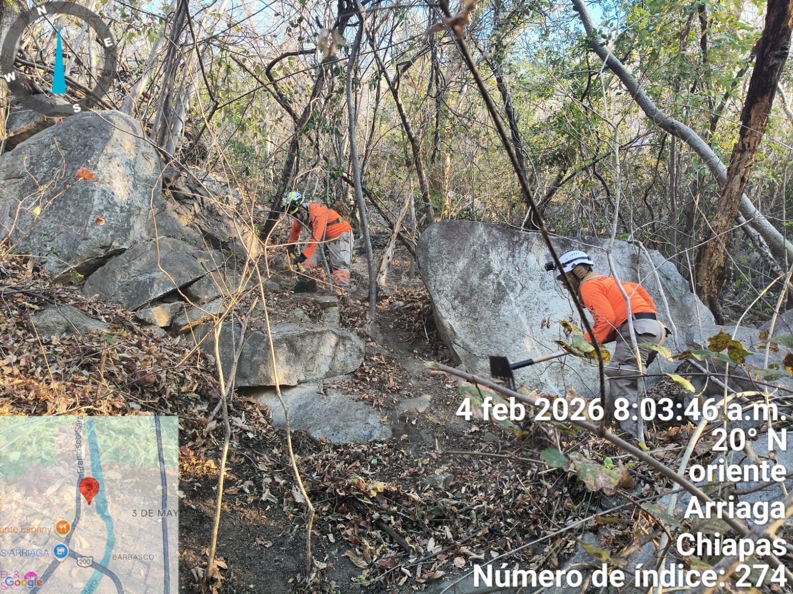 Protección Civil informa liquidación total de incendio forestal en la Reserva de La Sepultura