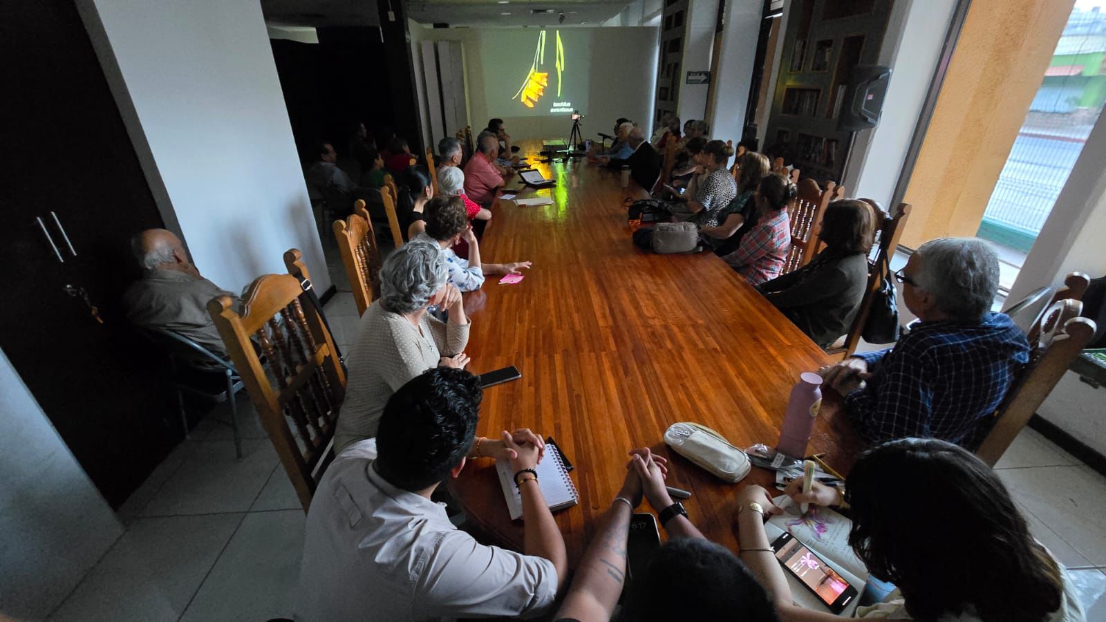 En el Reino de las Orquídeas, Chiapas Resguarda el 60% de la Riqueza Genética de México