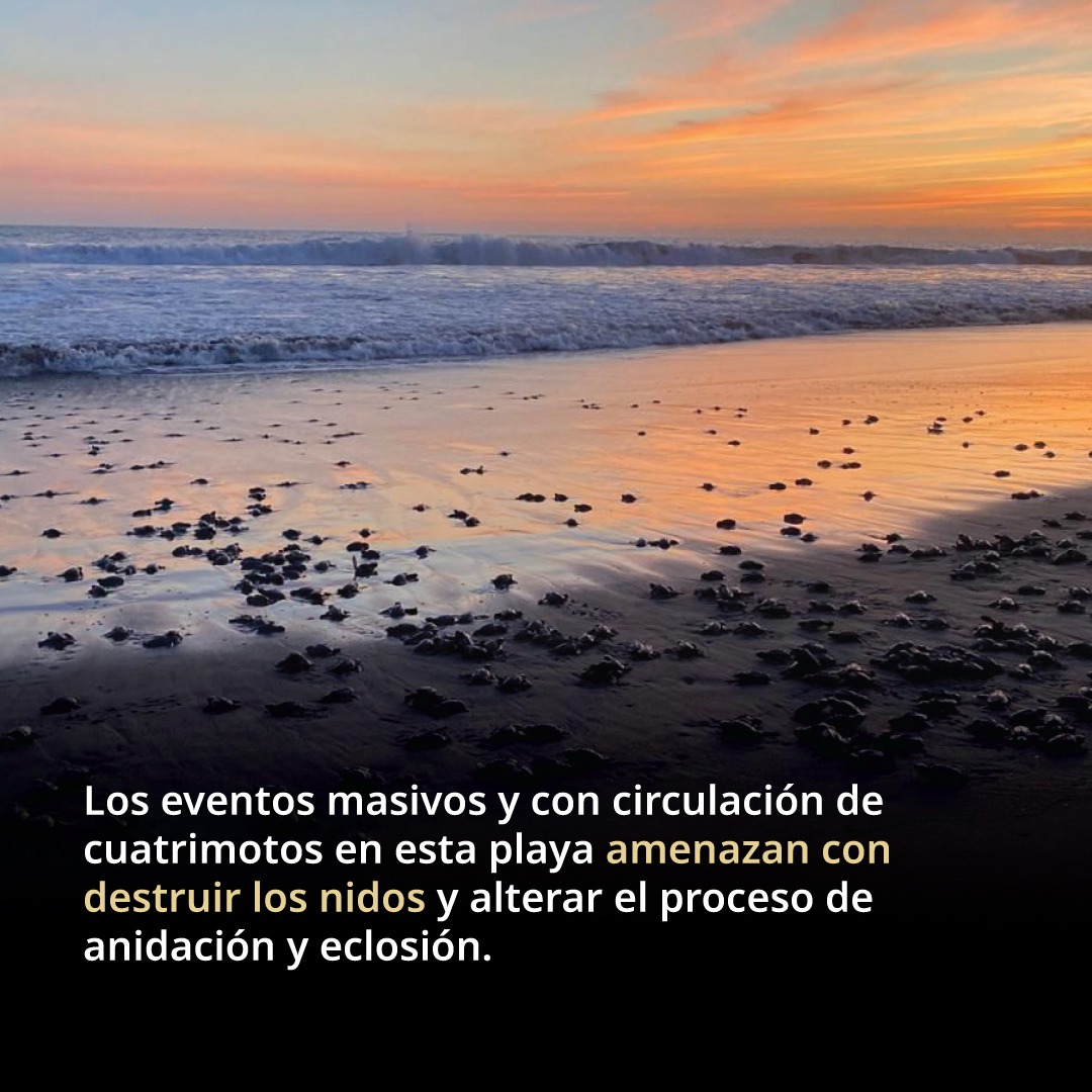 WhatsApp Image 2026 03 09 at 4.46.11 PM