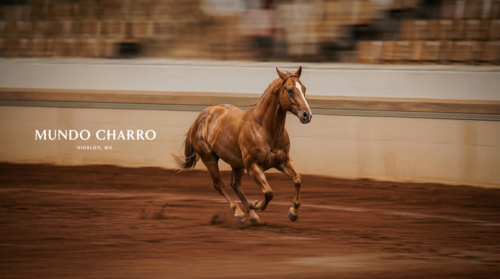 Recibe Mundo Charro, el Reconocimiento Paddock 2026 por su compromiso con el bienestar equino