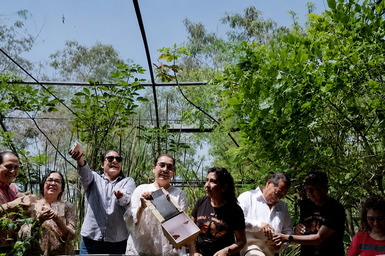 Realiza UNICACH tercera liberación de mariposas para fortalecer la conservación de especies locales