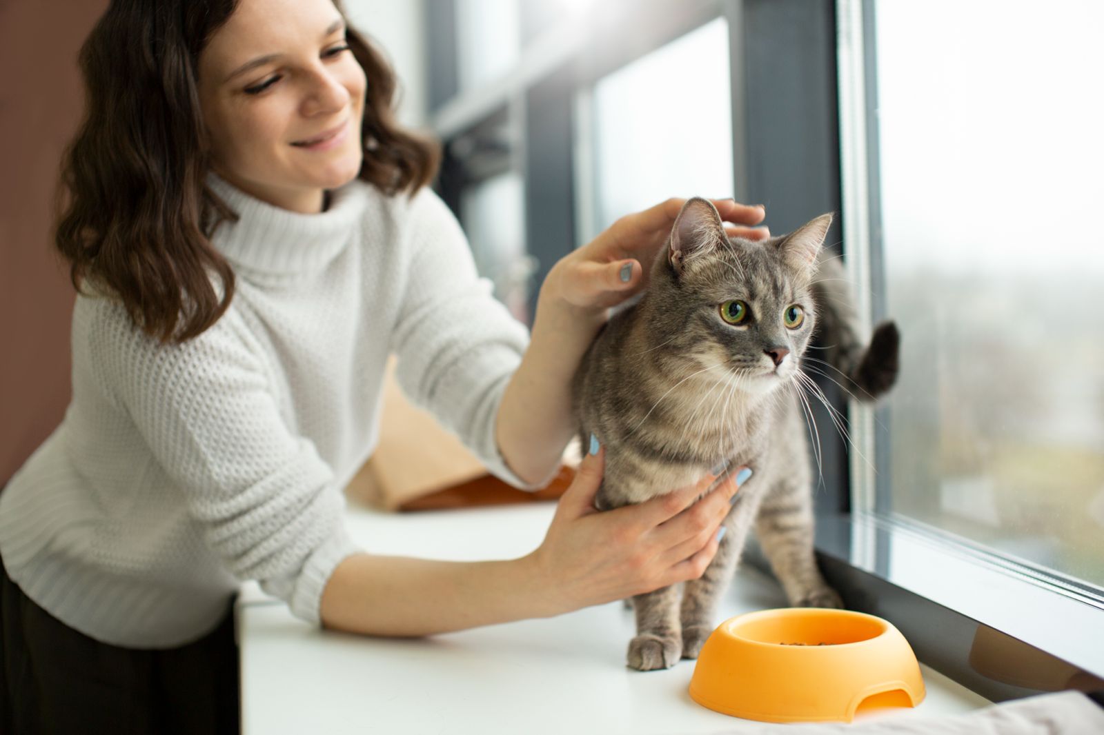 Día Internacional del Gato: El gato es la segunda mascota favorita de los mexicanos, pero sólo 16% de sus tutores prioriza su vacunación