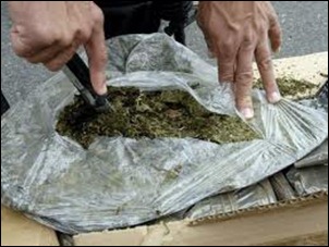 PGR Decomisan más de 13 kilos de marihuana en Arriaga